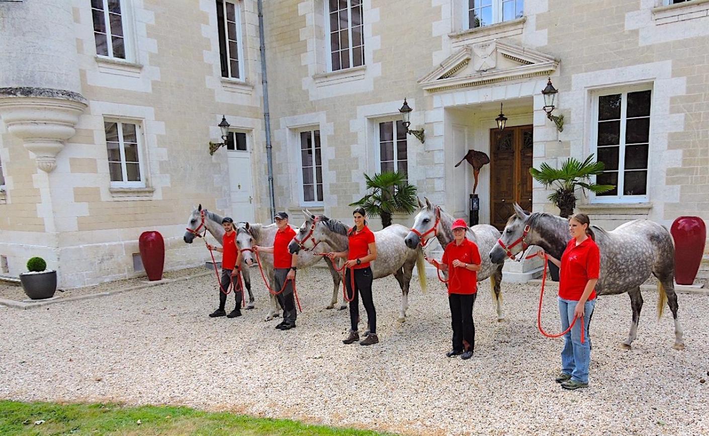 Chateau De Bellevue B&B Et Appartements Avec Piscine Saisonal Chauffee Et Chambres Partout Climatisees Saint-Avit  Buitenkant foto