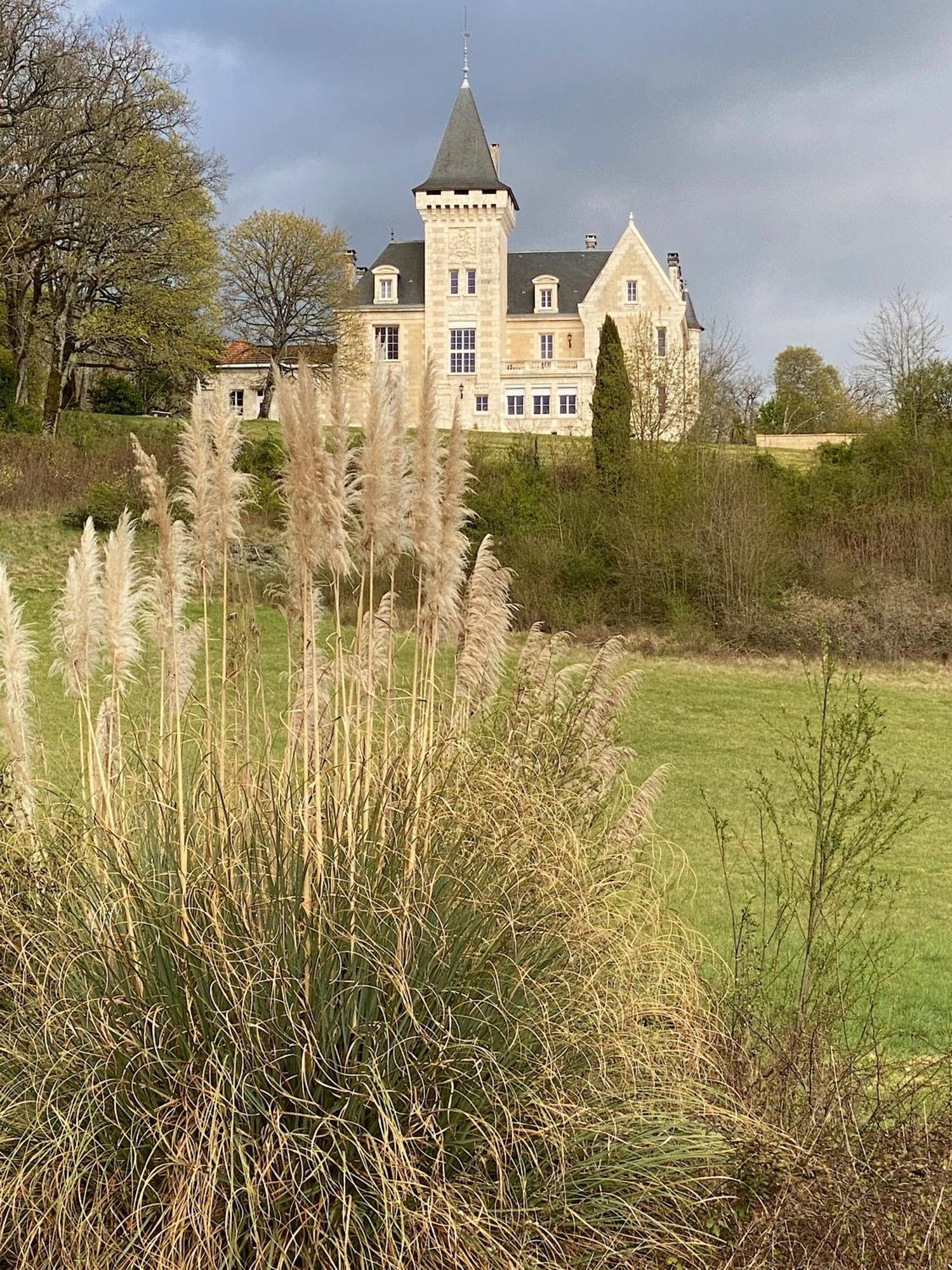 Chateau De Bellevue B&B Et Appartements Avec Piscine Chauffee Et Chambres Partout Climatisees Saint-Avit  Buitenkant foto